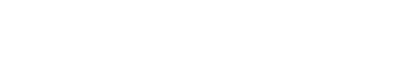 FF 8